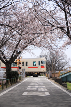 春を行く山陽電車