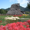 遺跡と色とりどりの彼岸花