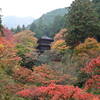 秋染まる高源寺
