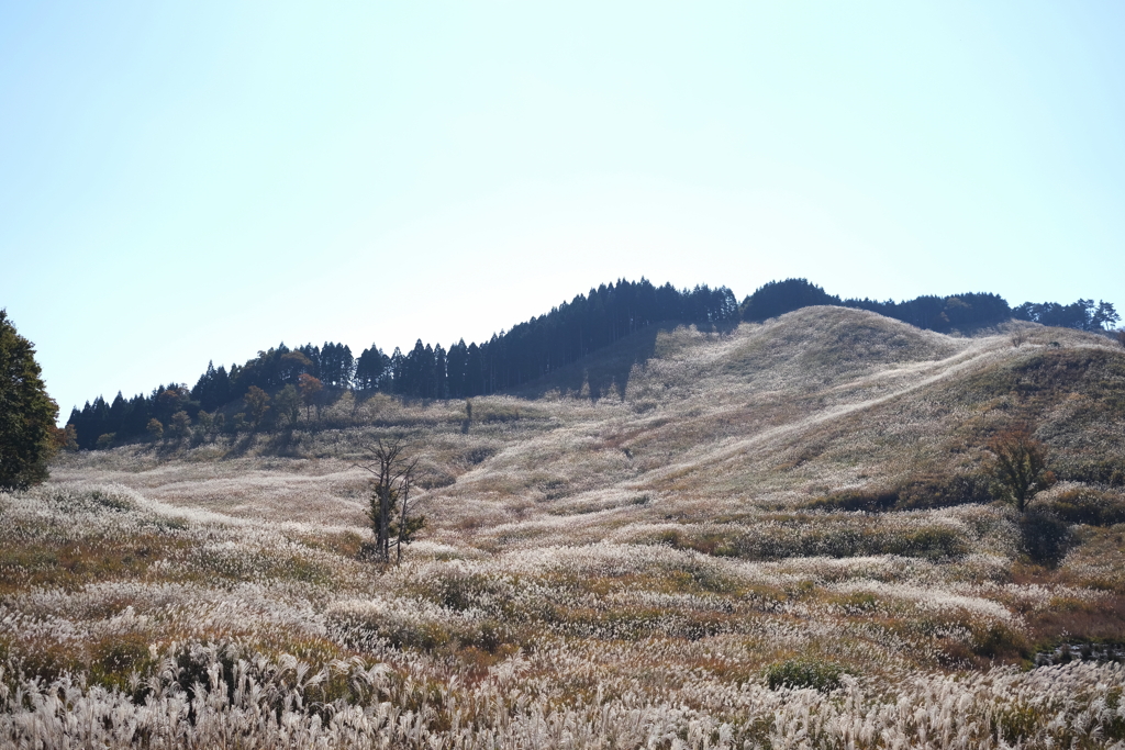 砥峰高原　秋景色