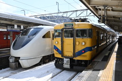 幸せの黄色い電車とこうのとり