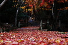 紅葉谷への入口