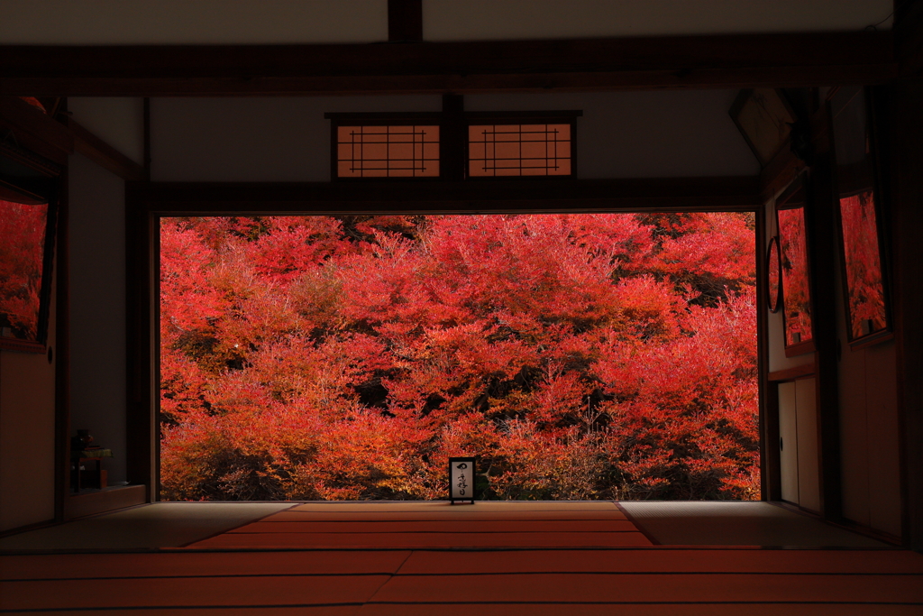 茜に染まる部屋