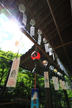 暑中お見舞い