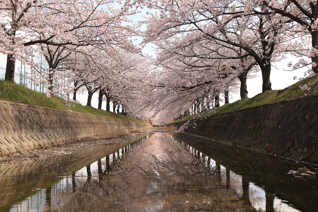 地元の絶景