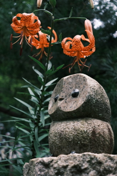 オニユリと梟