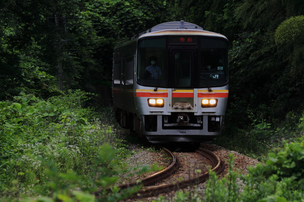 森を走る電車