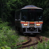 森を走る電車