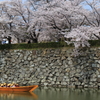 花見舟