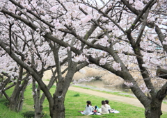 小さな女子会