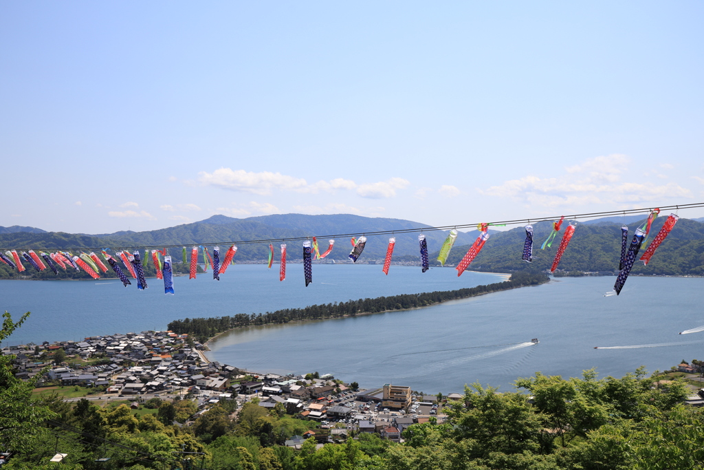 天橋立を泳ぐ鯉のぼり