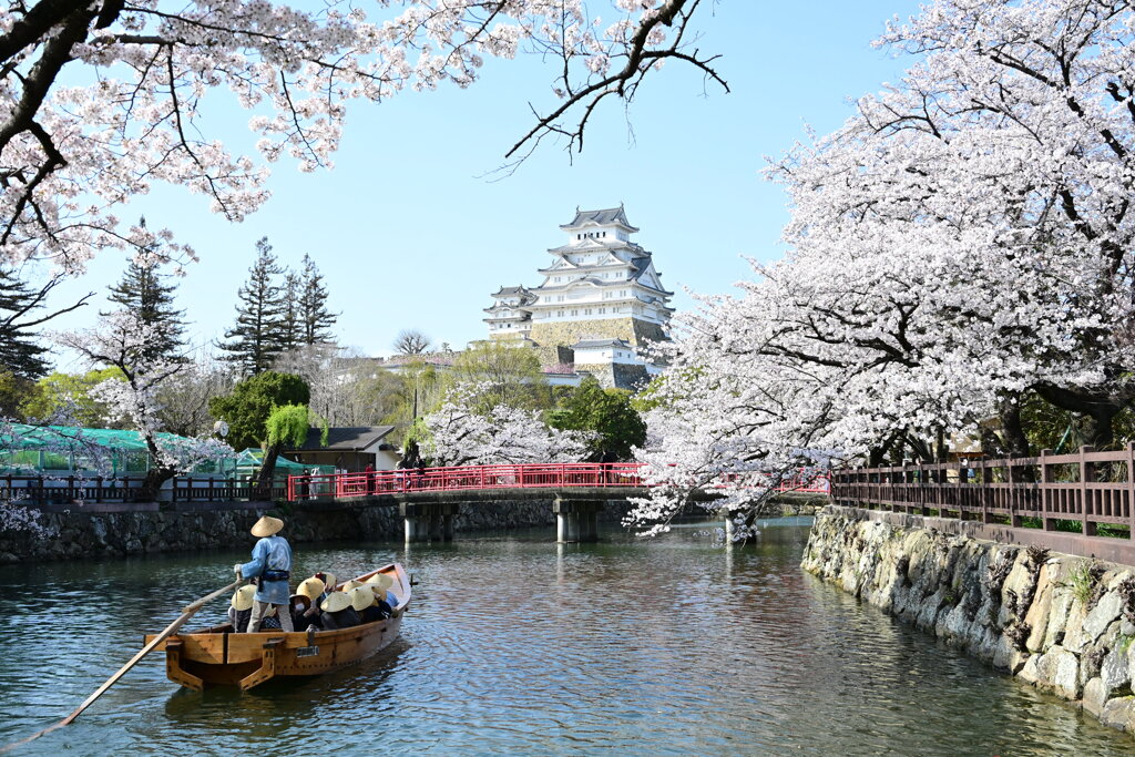 春爛漫の姫路城