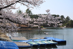 備忘録、未来の自分へ