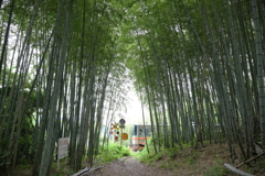 竹林と列車