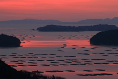 朝日で染まる海