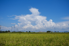 夏空