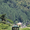 緑の列車と緑の山