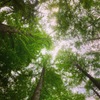森林浴♪