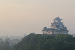 早朝の姫路城