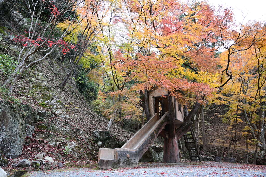 紅葉と滑り台