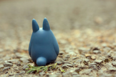 遠くを見つめて