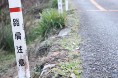 路肩注意