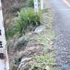 路肩注意