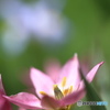 上を向いて輝く