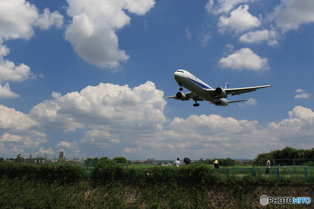 夏空と飛行機（ANAボーイング767）