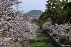 甲山を望む