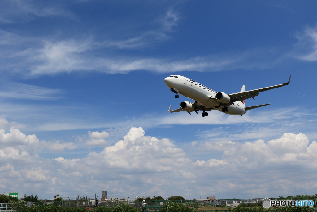 夏空と飛行機（ボーイング737-800）