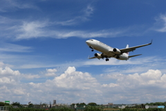 夏空と飛行機（ボーイング737-800）