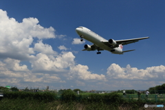 夏空と飛行機(JALボーイング767)