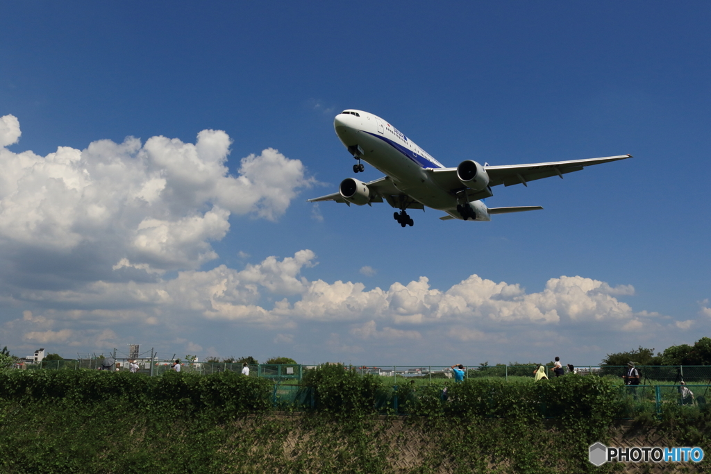 夏空と飛行機（ボーイング777-200）