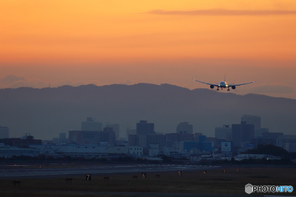 早朝の到着機