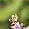 物思いにふける