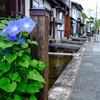 お堀の彩り