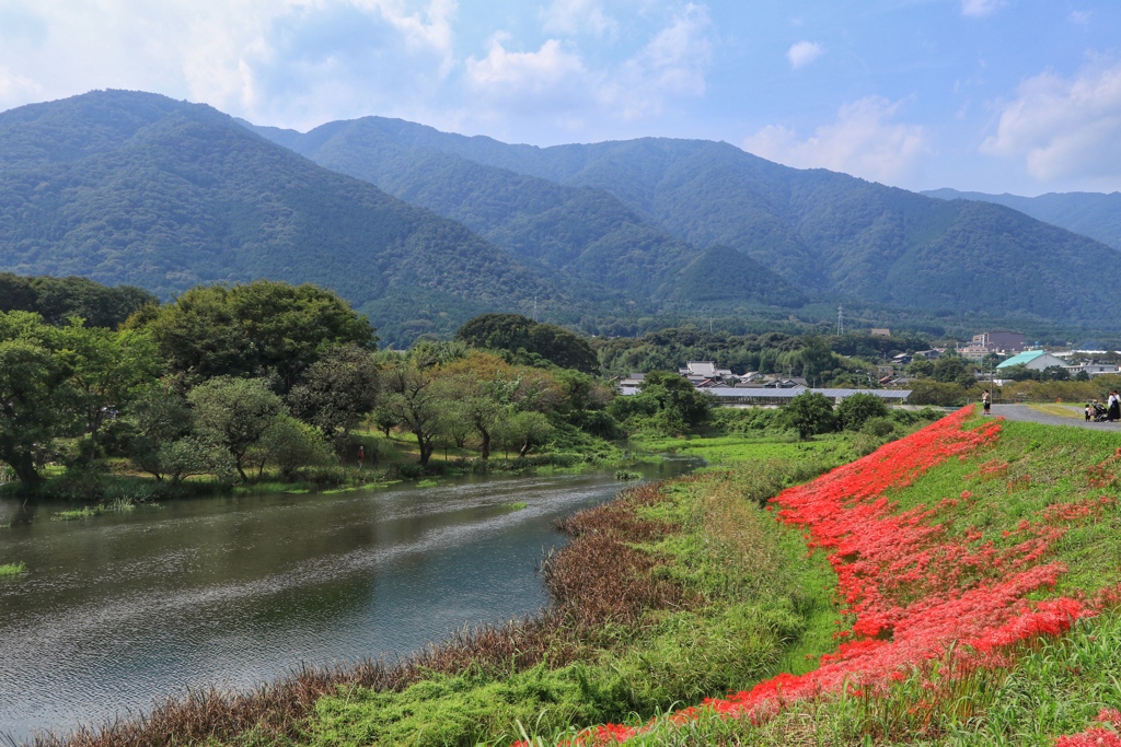 津屋川の旬