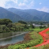 津屋川の旬