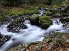 河津七滝