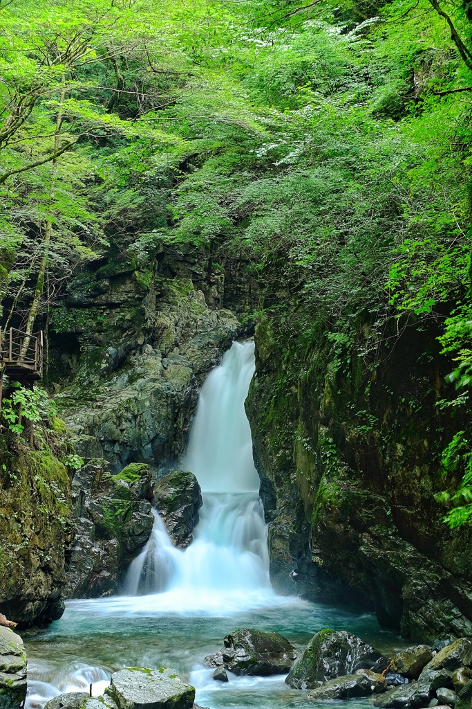 小坂の滝巡り