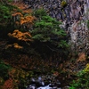 荘厳