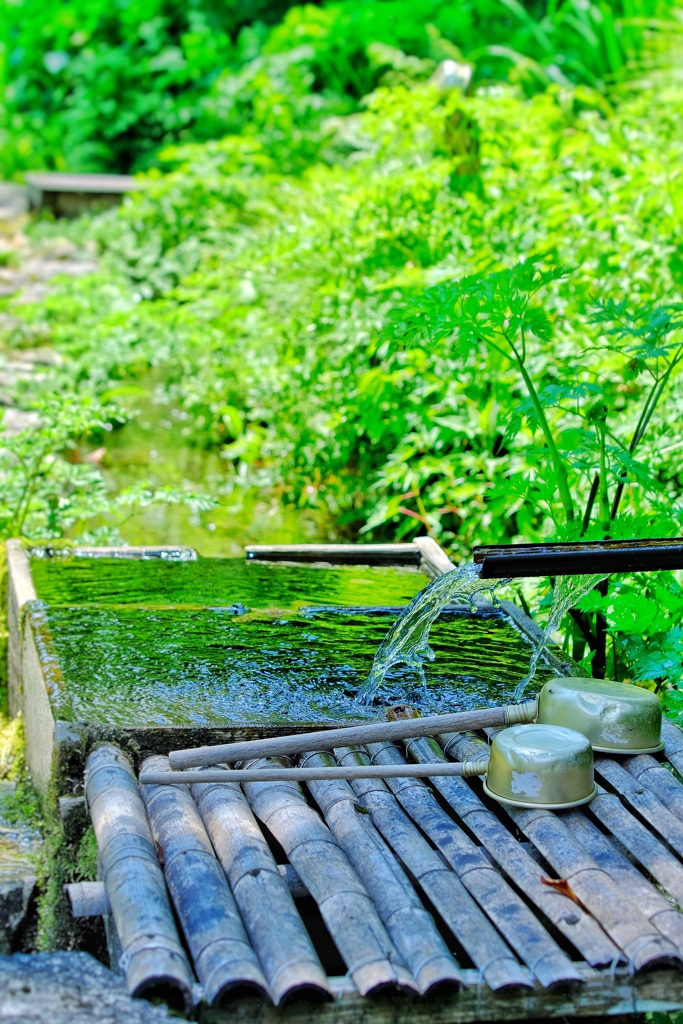 水のある風景