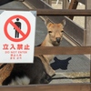 なにか？