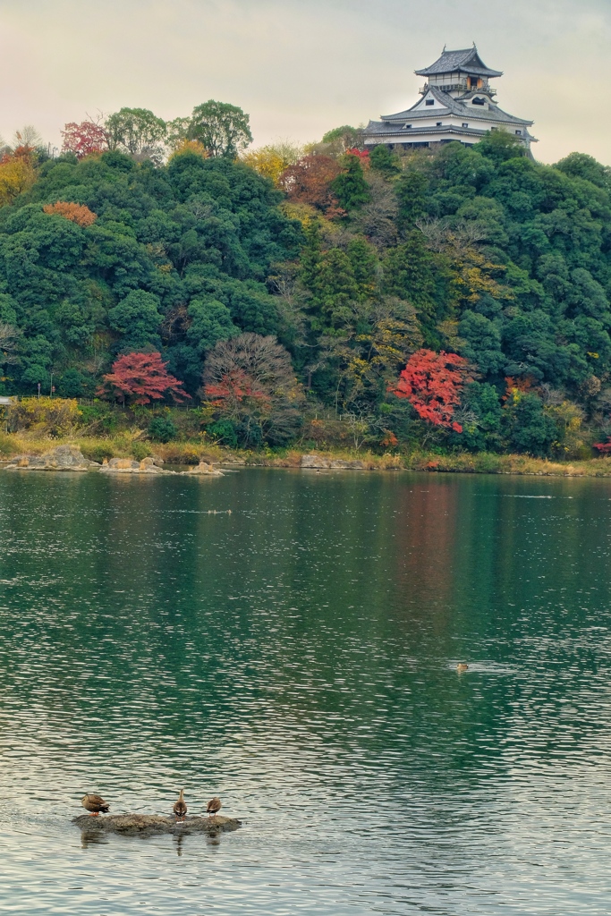 鳥と城