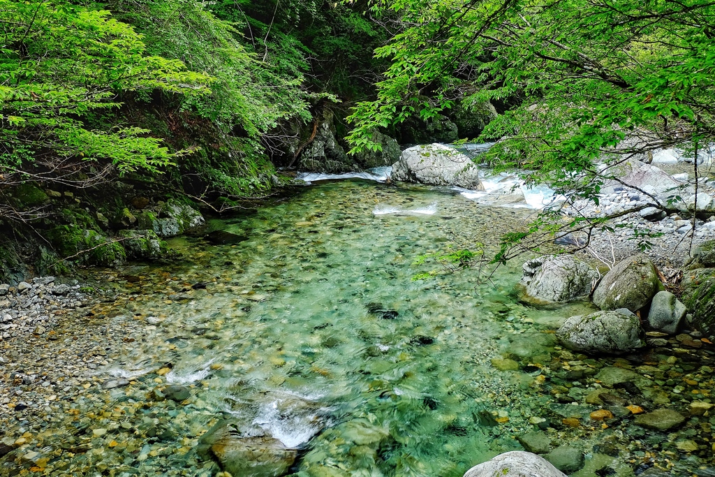 理想の水