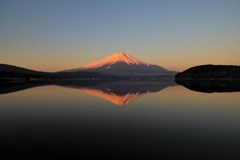 朝撮れ新鮮富士山