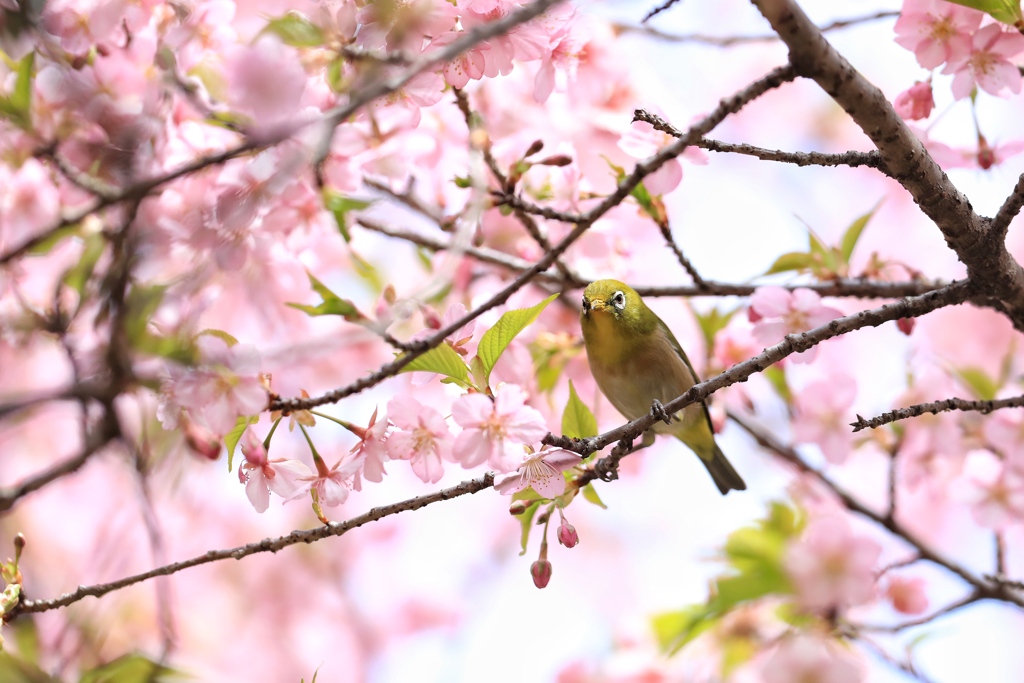怒ってます?