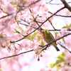 怒ってます?