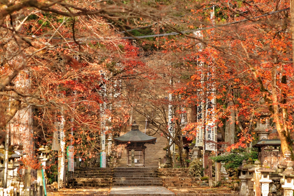 晩秋の西国三十三番満願霊場